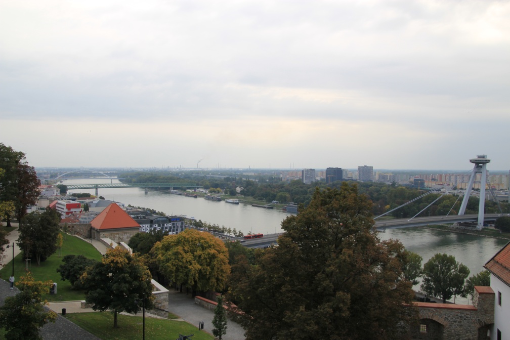 IMG 4541