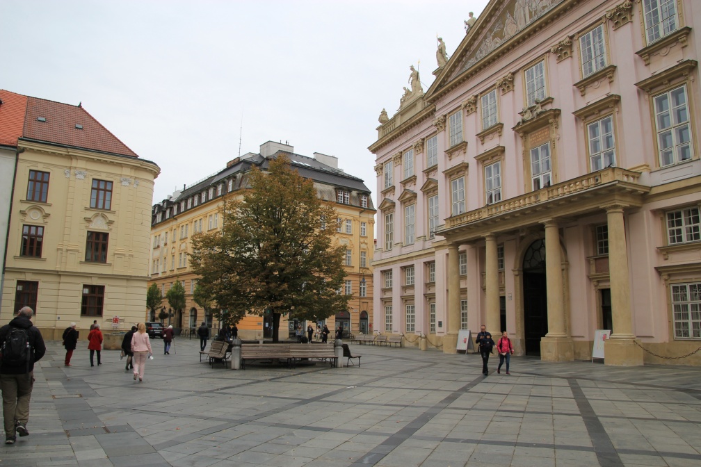 IMG 4556