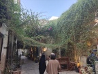 IMG20241127152046