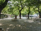 IMG20250609091239